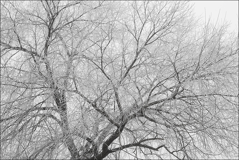 Frost Frost