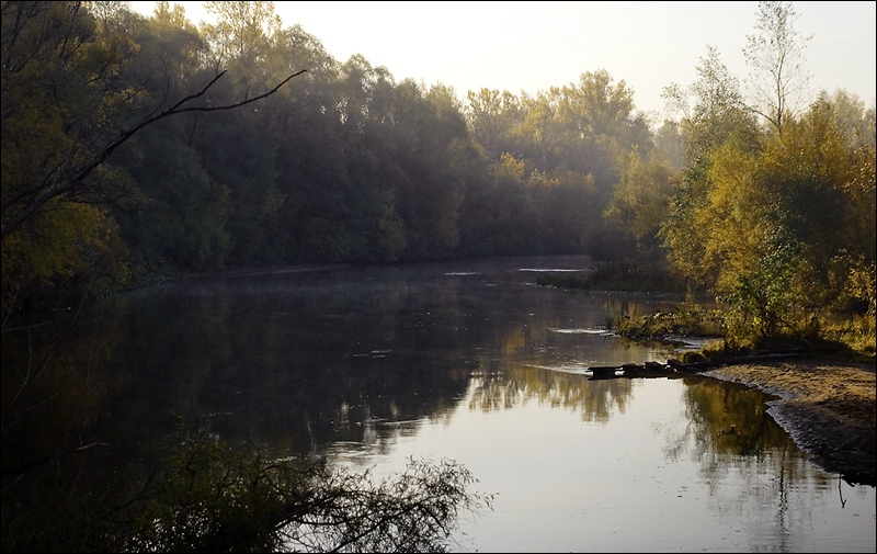 Morning at the River