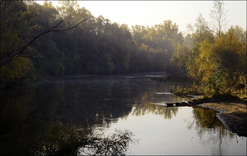 Morning at the River Morning at the River