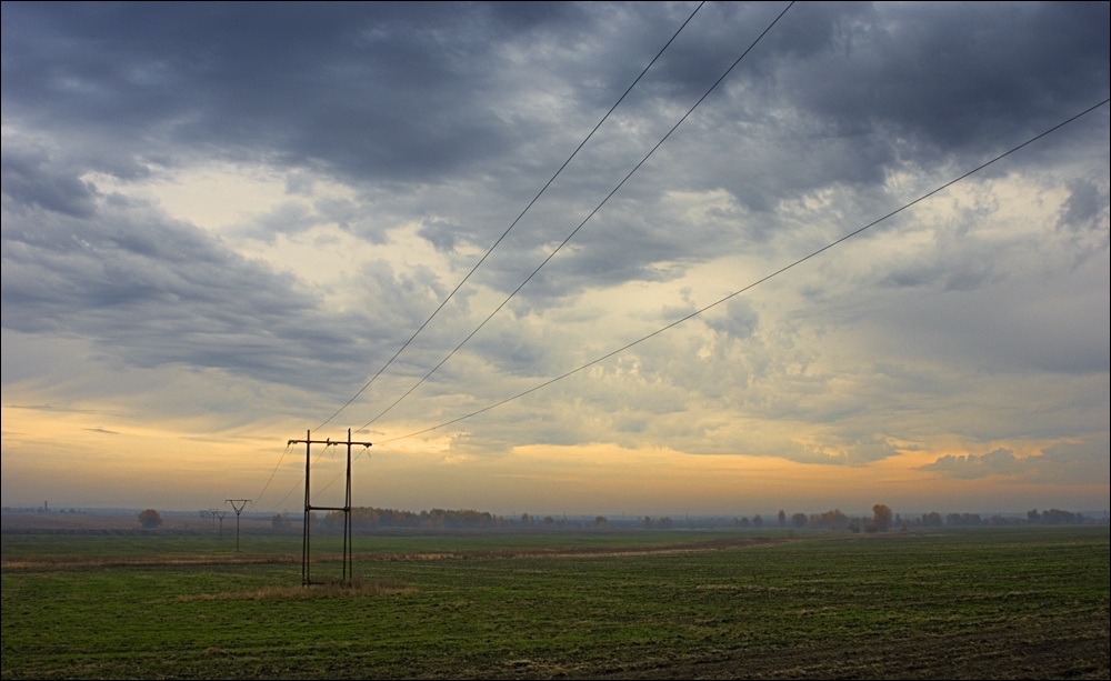 Morning Landscape