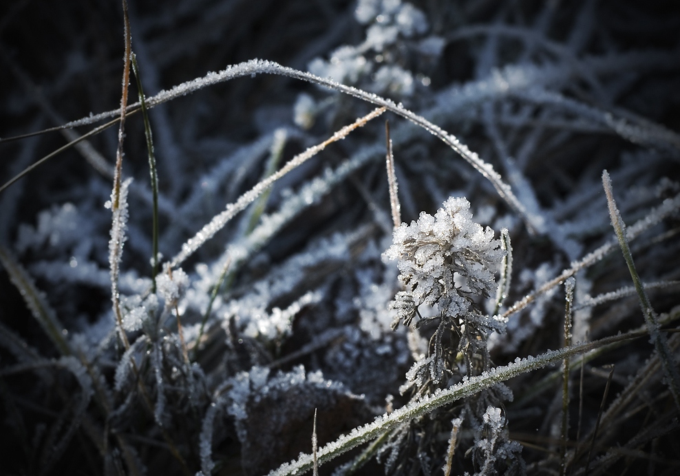 Winter Will Soon Be Here Winter Will Soon Be Here