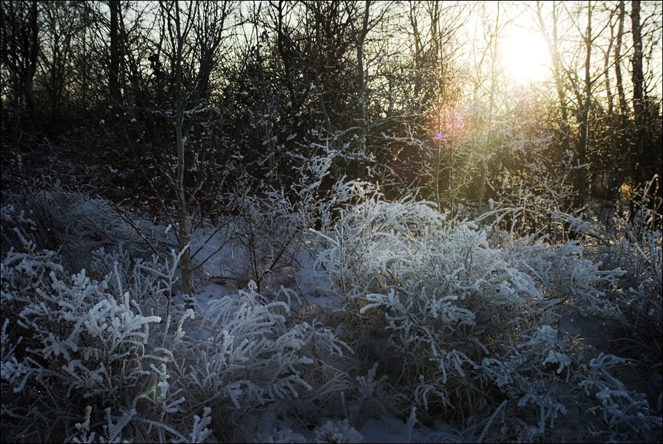 Evening Glow