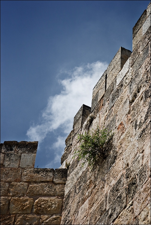 Temple Wall 