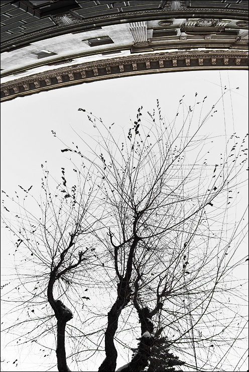 Upside-Down Upside-Down