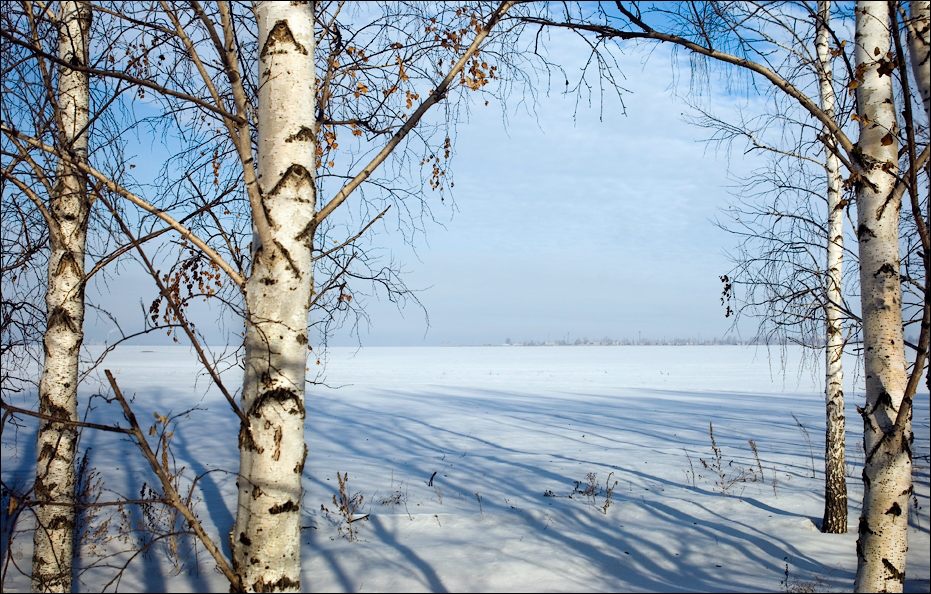 Snow Fields