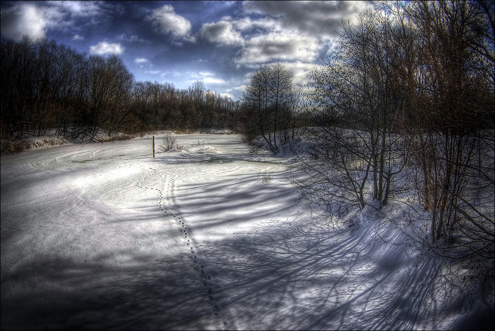 Spring Landscape