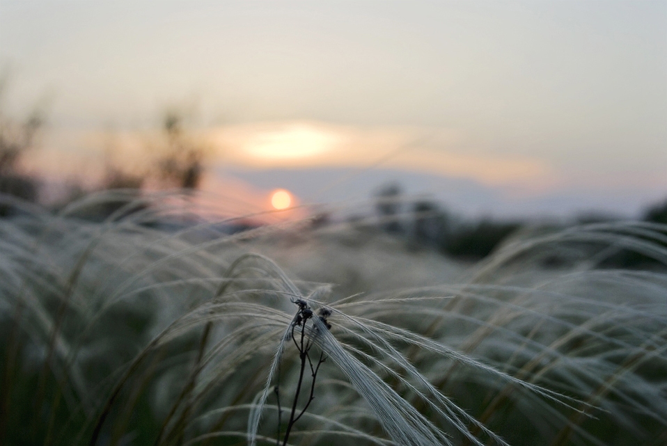 Middle of the summer. Sunset.