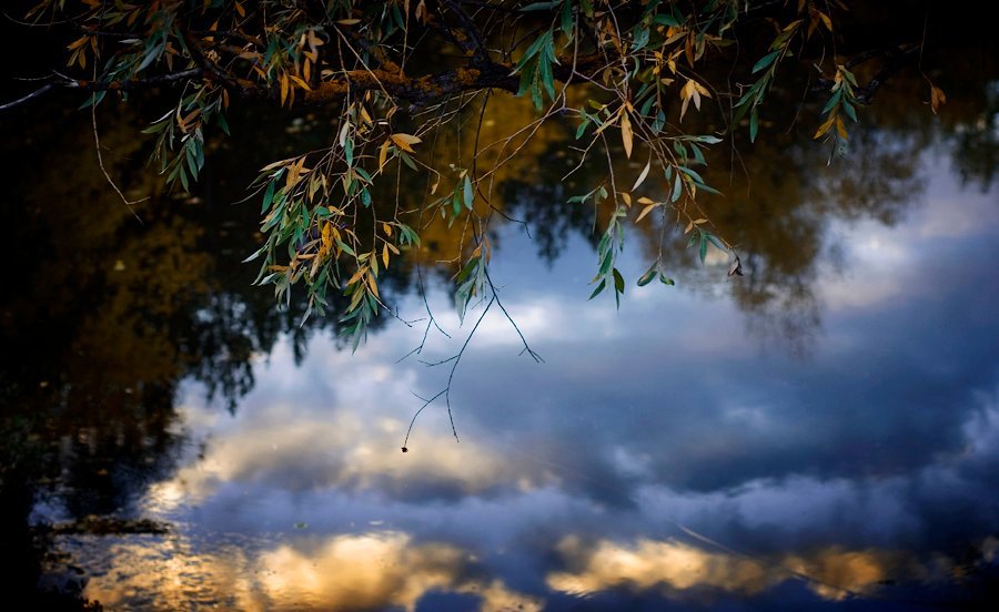 Nevertheless its fall Nevertheless its fall