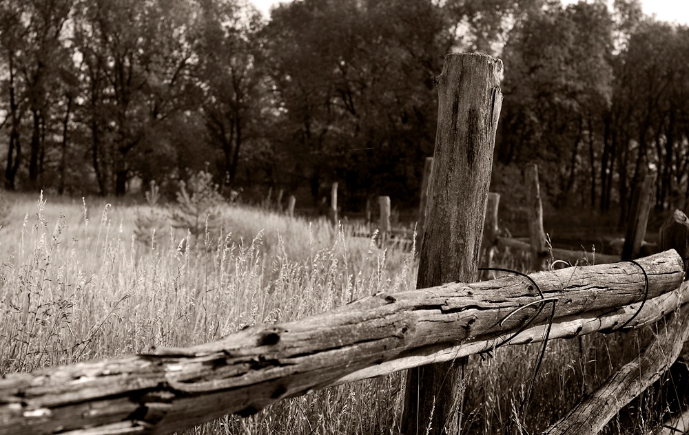 Beyond The Village Fence