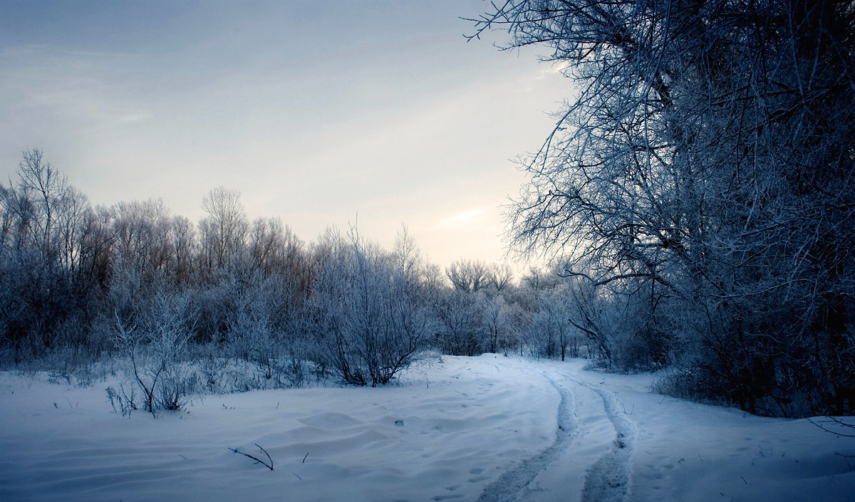 Frosty Evening