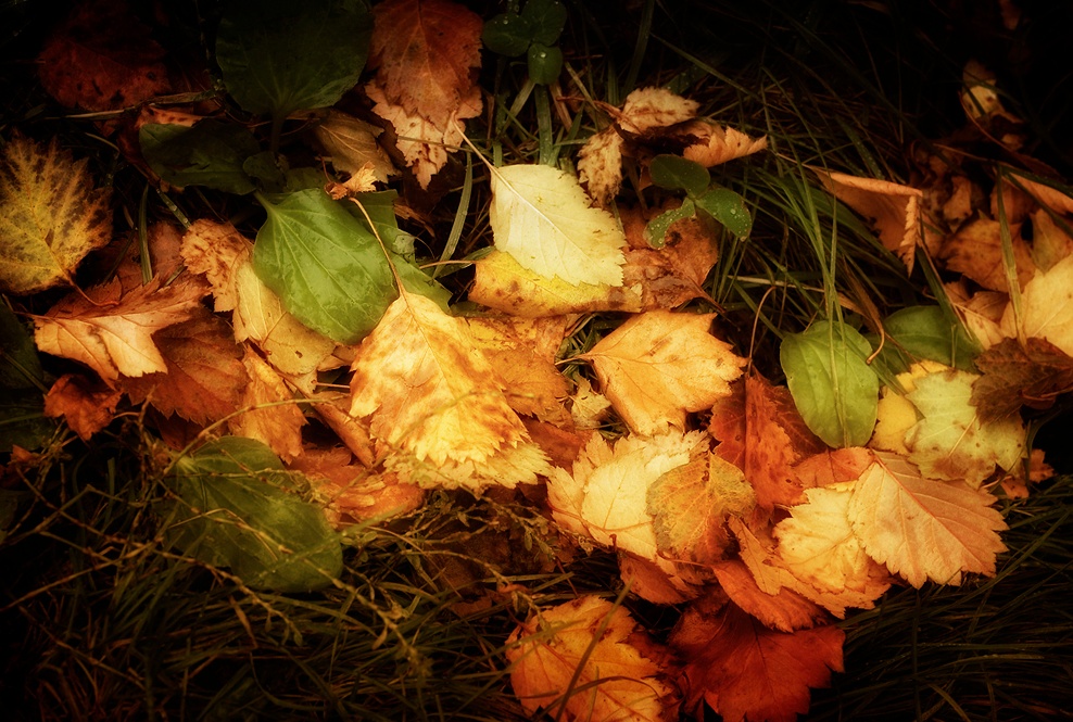 Autumn Puzzle Autumn Puzzle