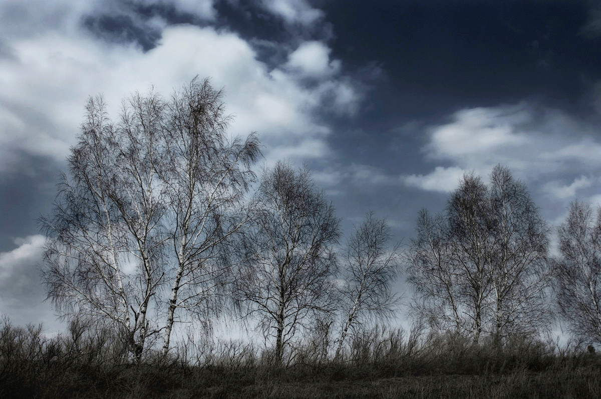 Under Spring Sky Under Spring Sky