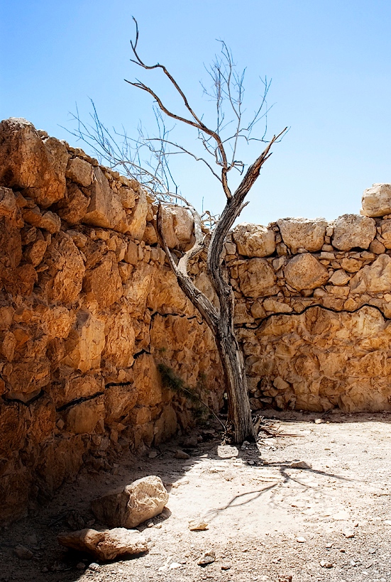 Masada: Top of Judean Desert