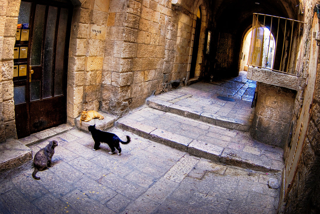 Jerusalem Walks: Party Jerusalem Walks: Party