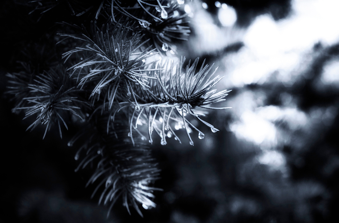 Droplets