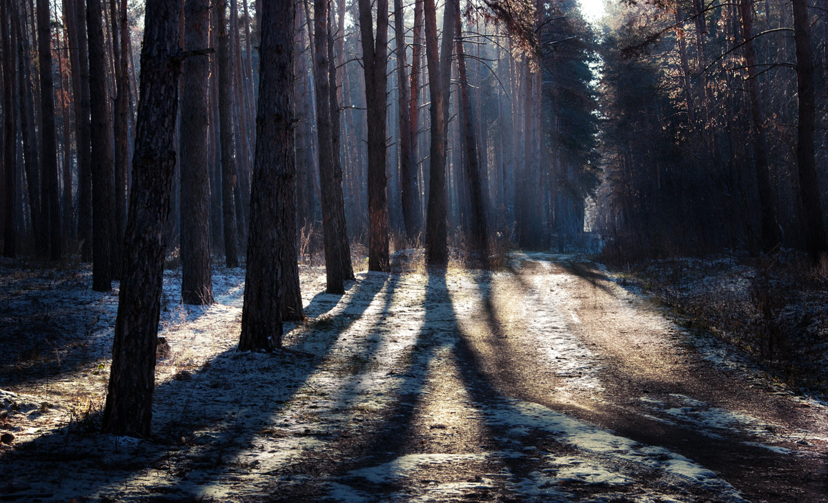 Frozen Light Frozen Light