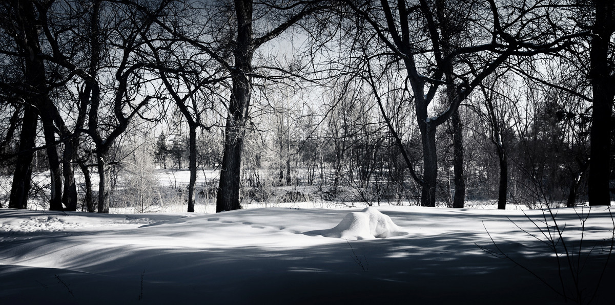 Last Winter Shot Last Winter Shot