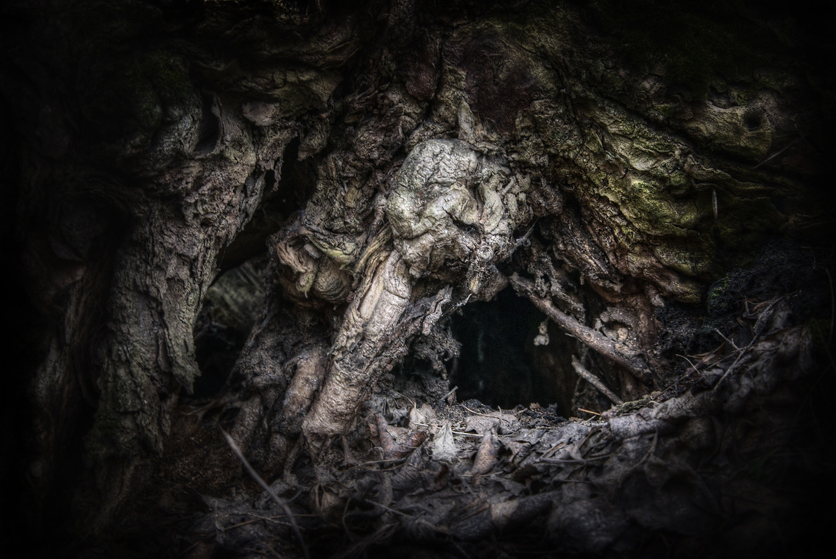 Down the Rabbit Hole