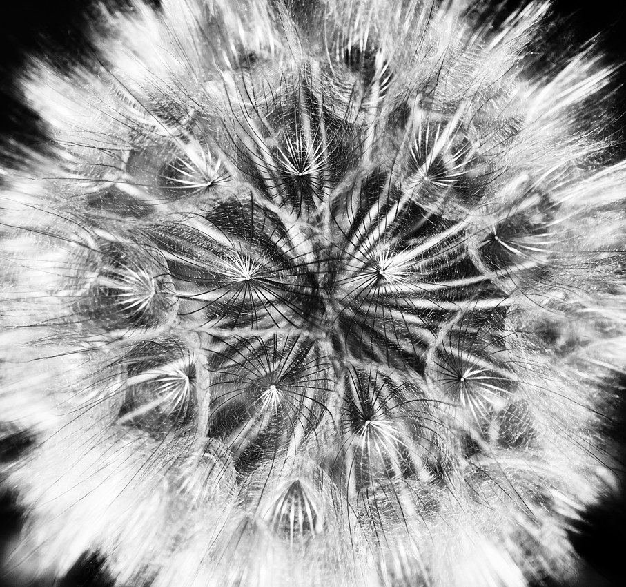 Summer Artwork Summer Artwork