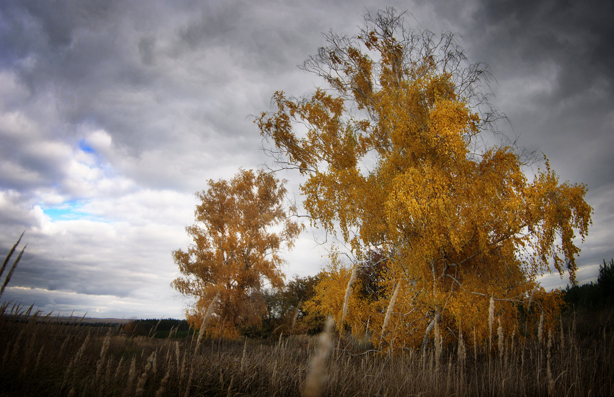  The last autumn days