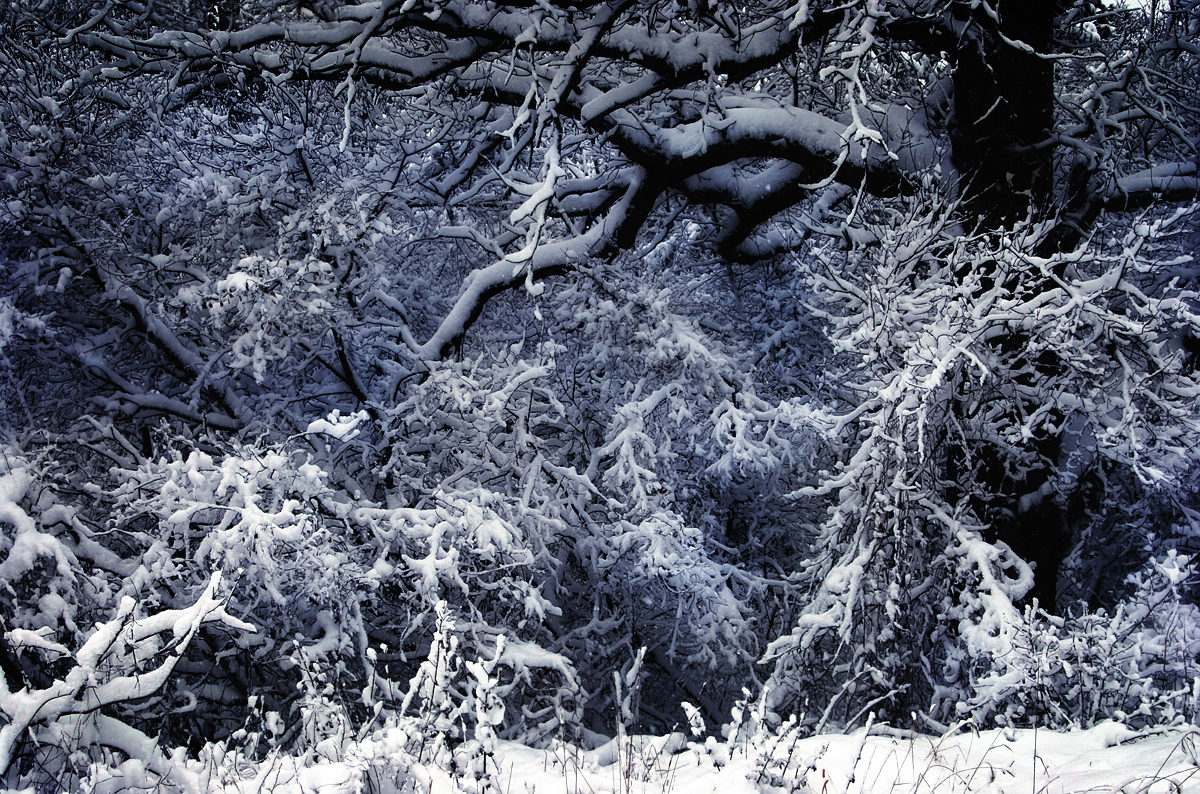 Let it Snow Let it Snow
