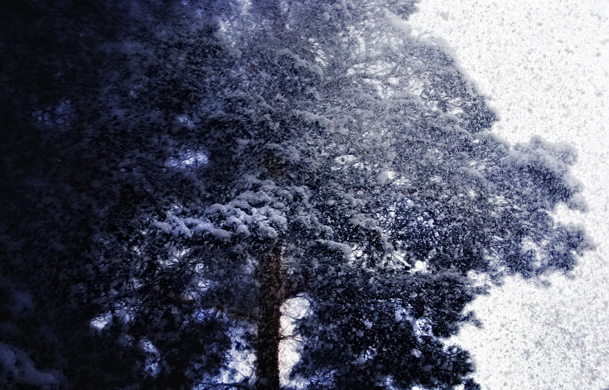 Let it Snow: Part II Let it Snow: Part II