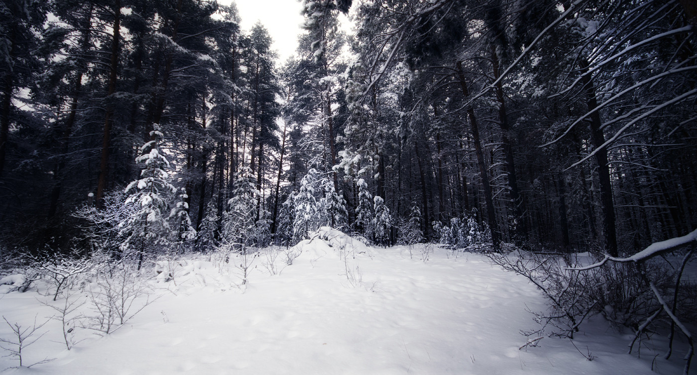 Footprints in the snow