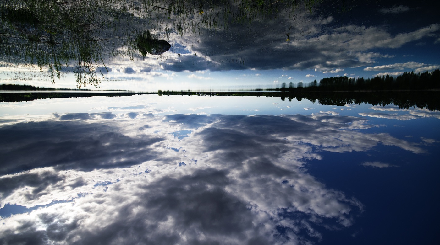 Reflection Reflection