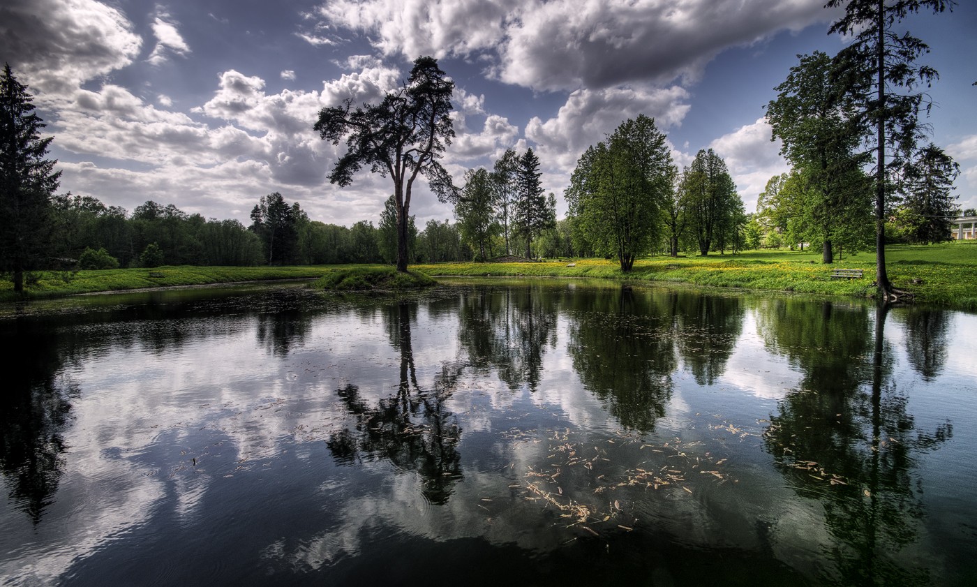 Reflection Reflection