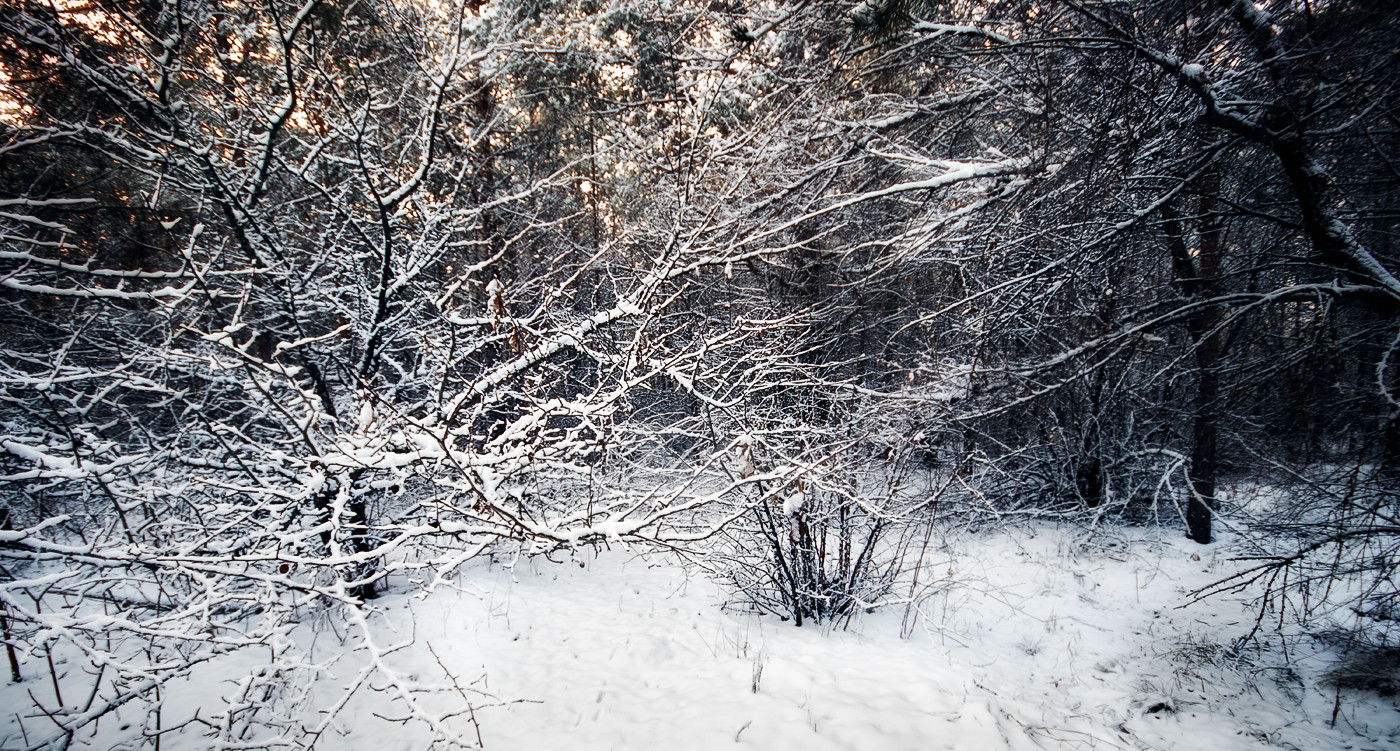 First Snow