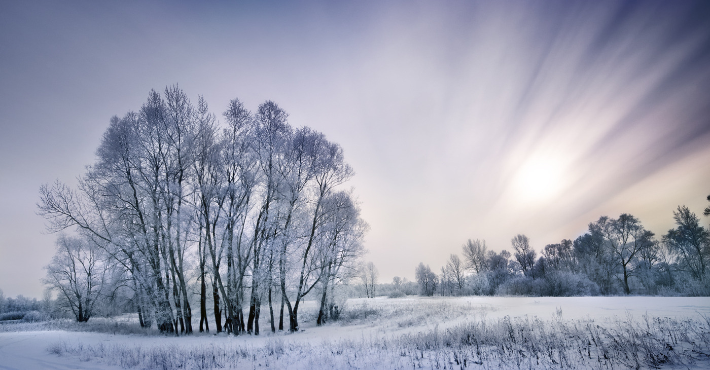 Frozen Sun Frozen Sun