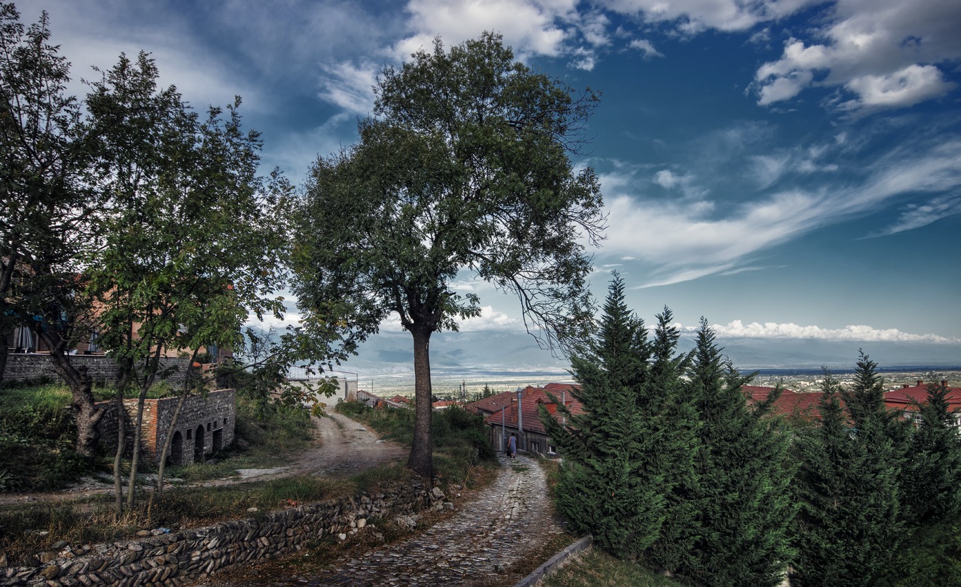 Telavi