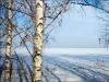 Snow Fields