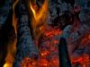 Embers
