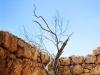 Masada: Top of Judean Desert