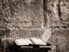 Jerusalem Walks: Torah