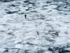 Last WinterFishing: Deadly Walk